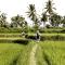Ubud Hanging Gardens