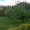 Orchard View Foto: Orchard View