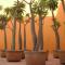 Hotel Boutique Casareyna