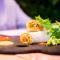 Hotel & Spa Princesa Munia