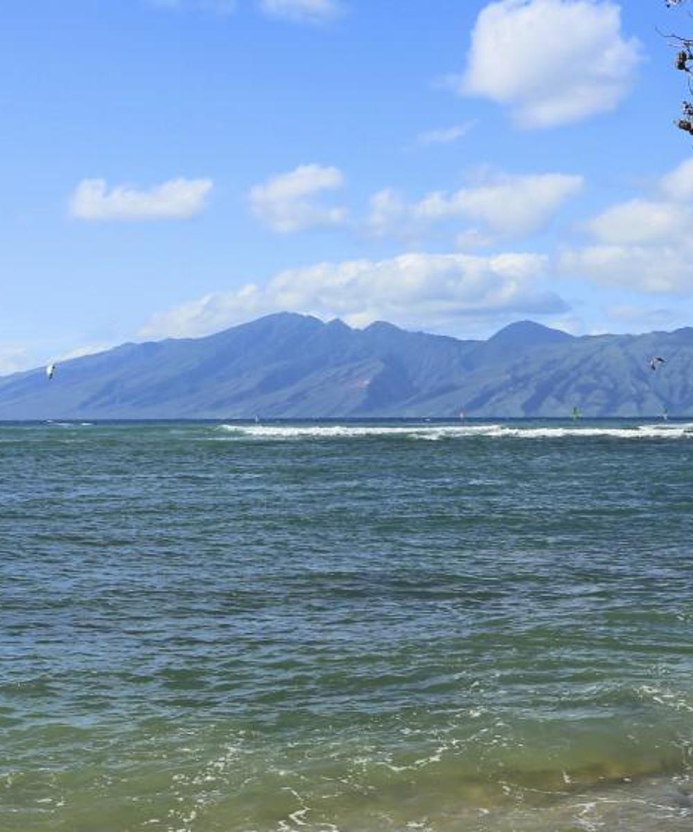 Book cheap flights to Maui