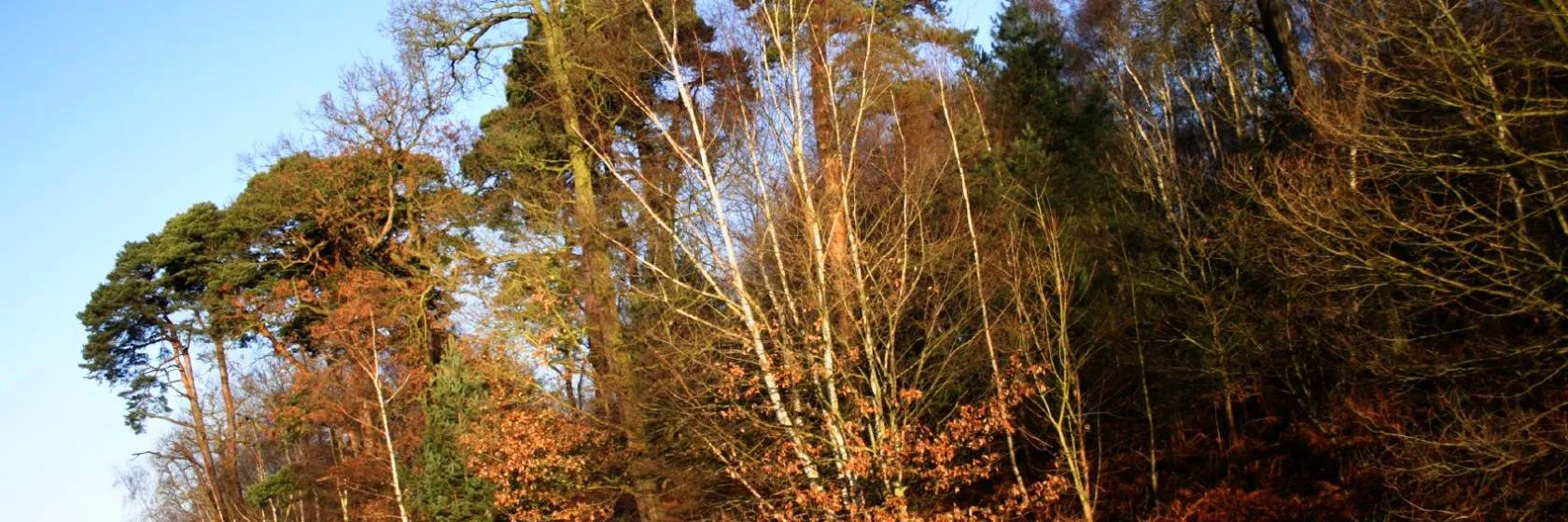 The best available hotels & places to stay near Edwinstowe Edwinstowe