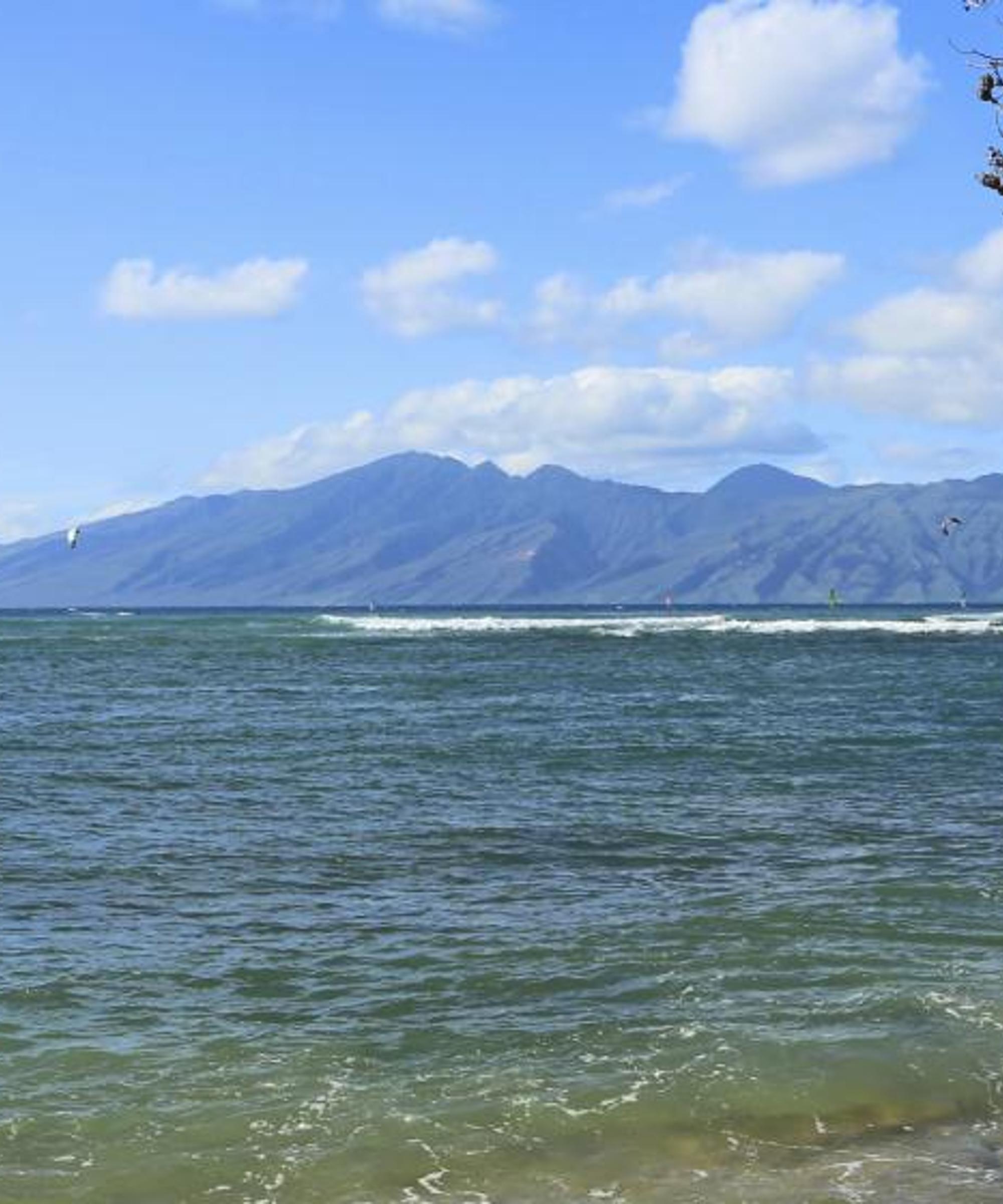 Book cheap flights to Maui