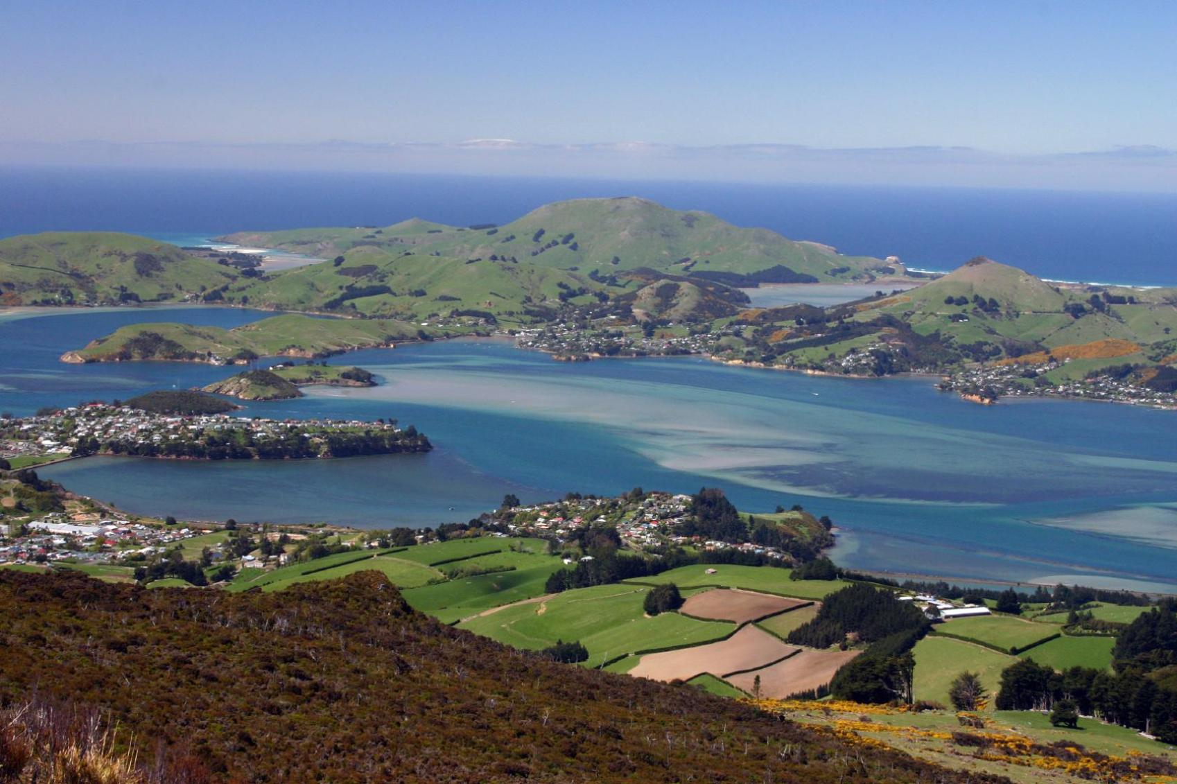 Book cheap flights to Dunedin