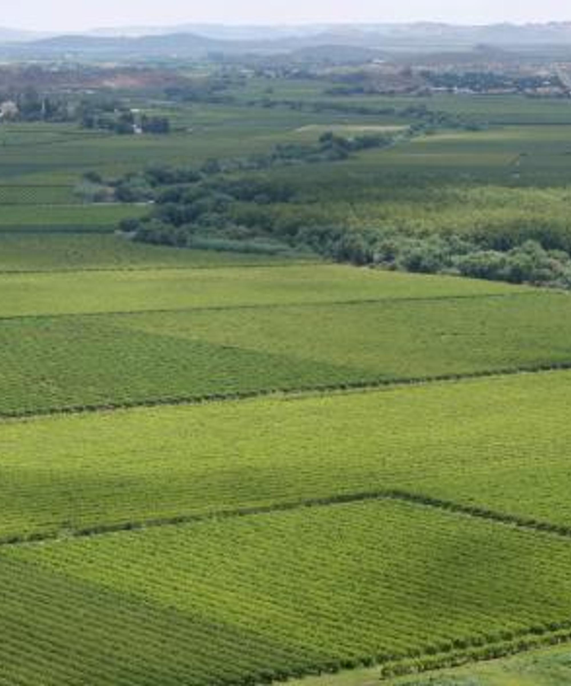 Firefly Car Rental near Upington Airport