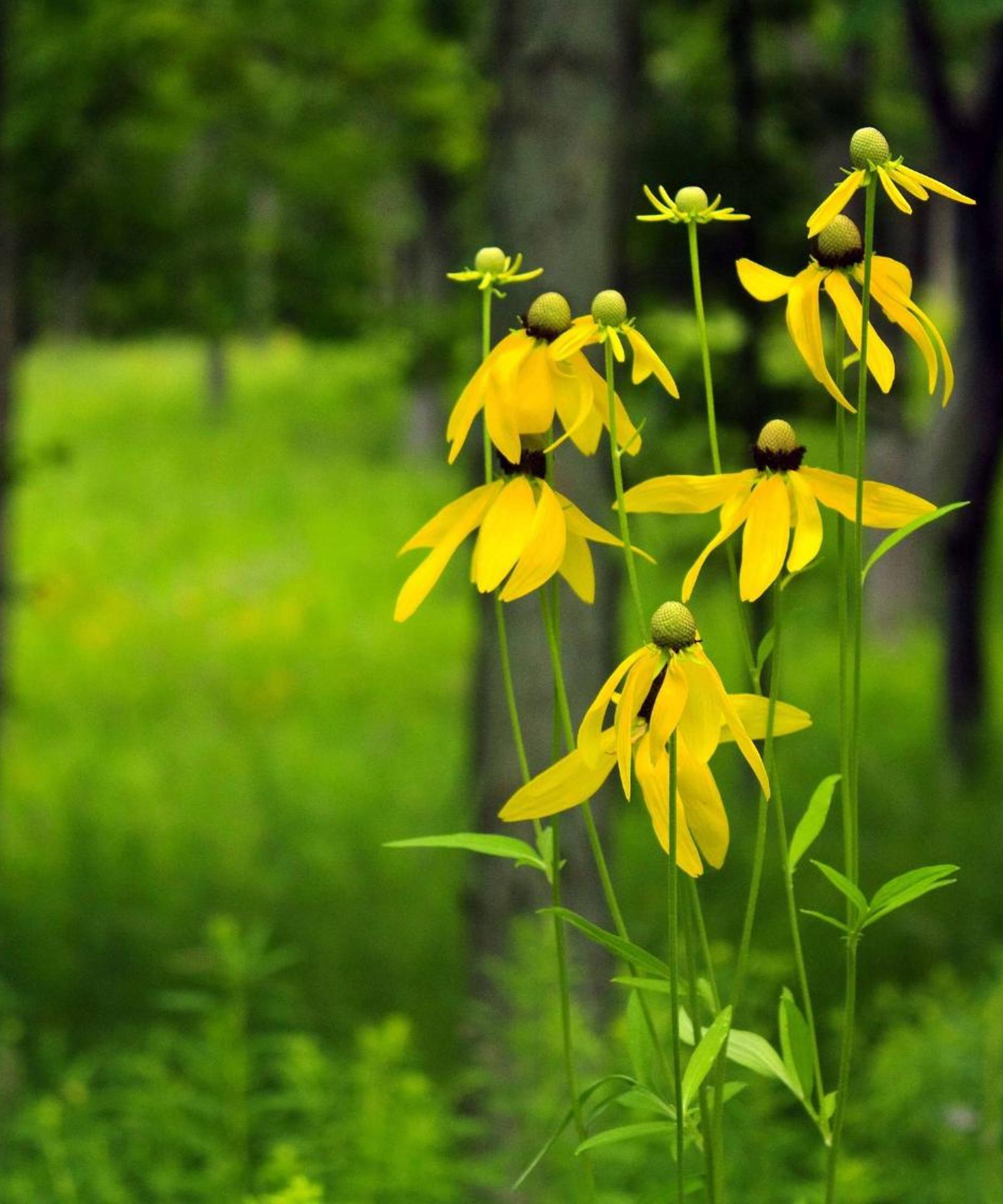 Cheap car rental in Waukesha Find and compare deals