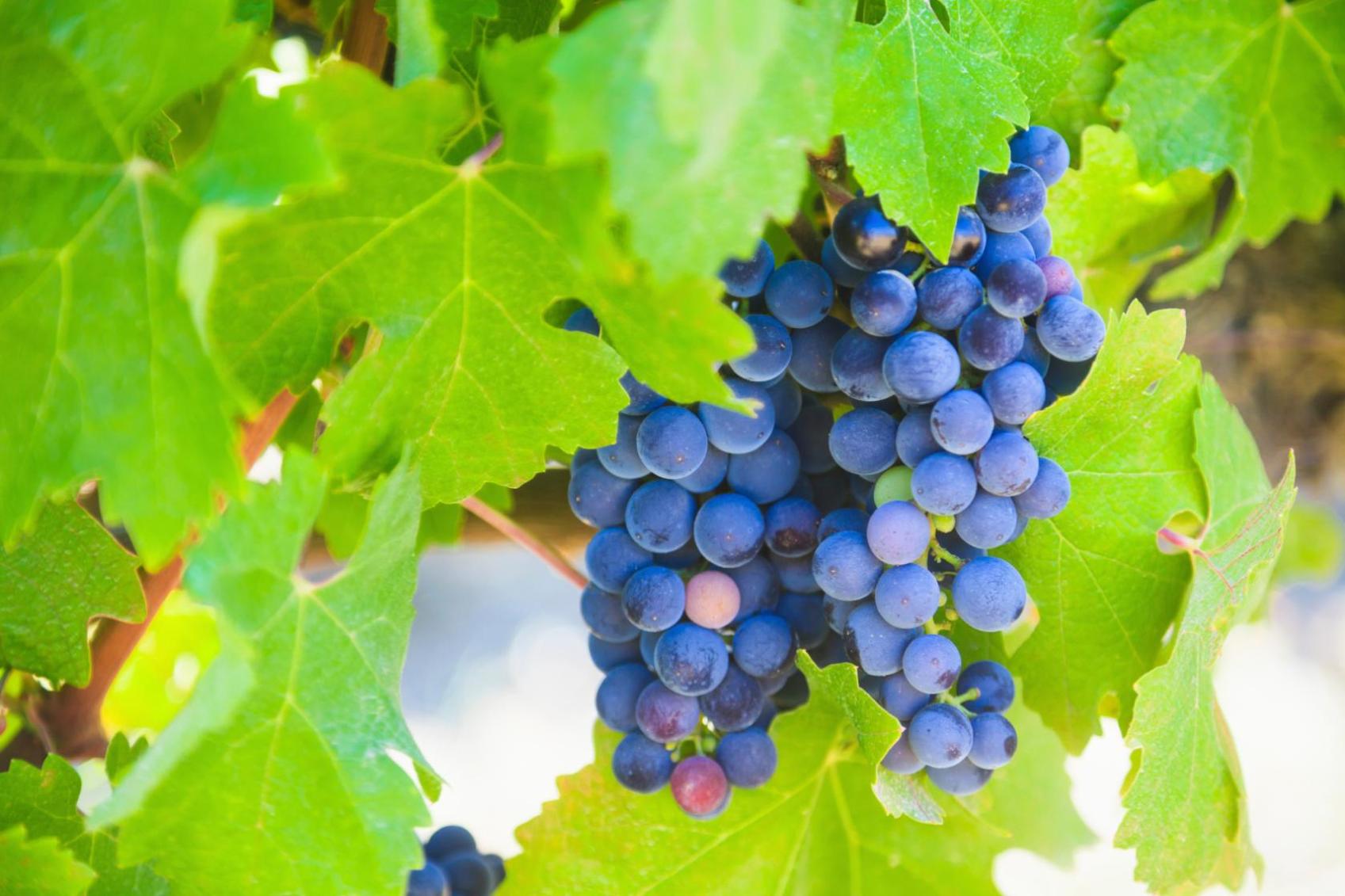 Cheap car rental in Vereeniging Find and compare deals