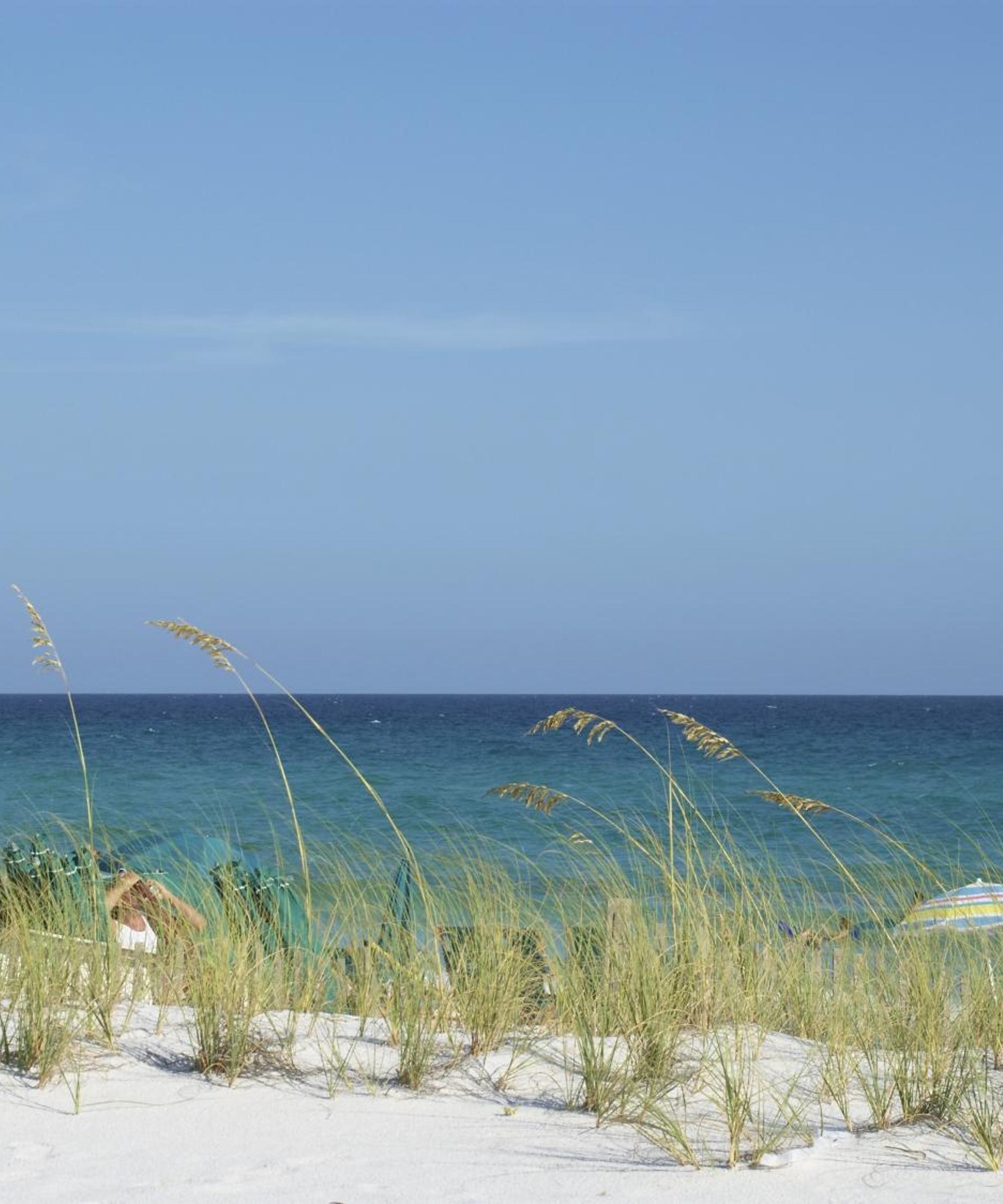 Cheap car rental in Orange Park Find and compare deals