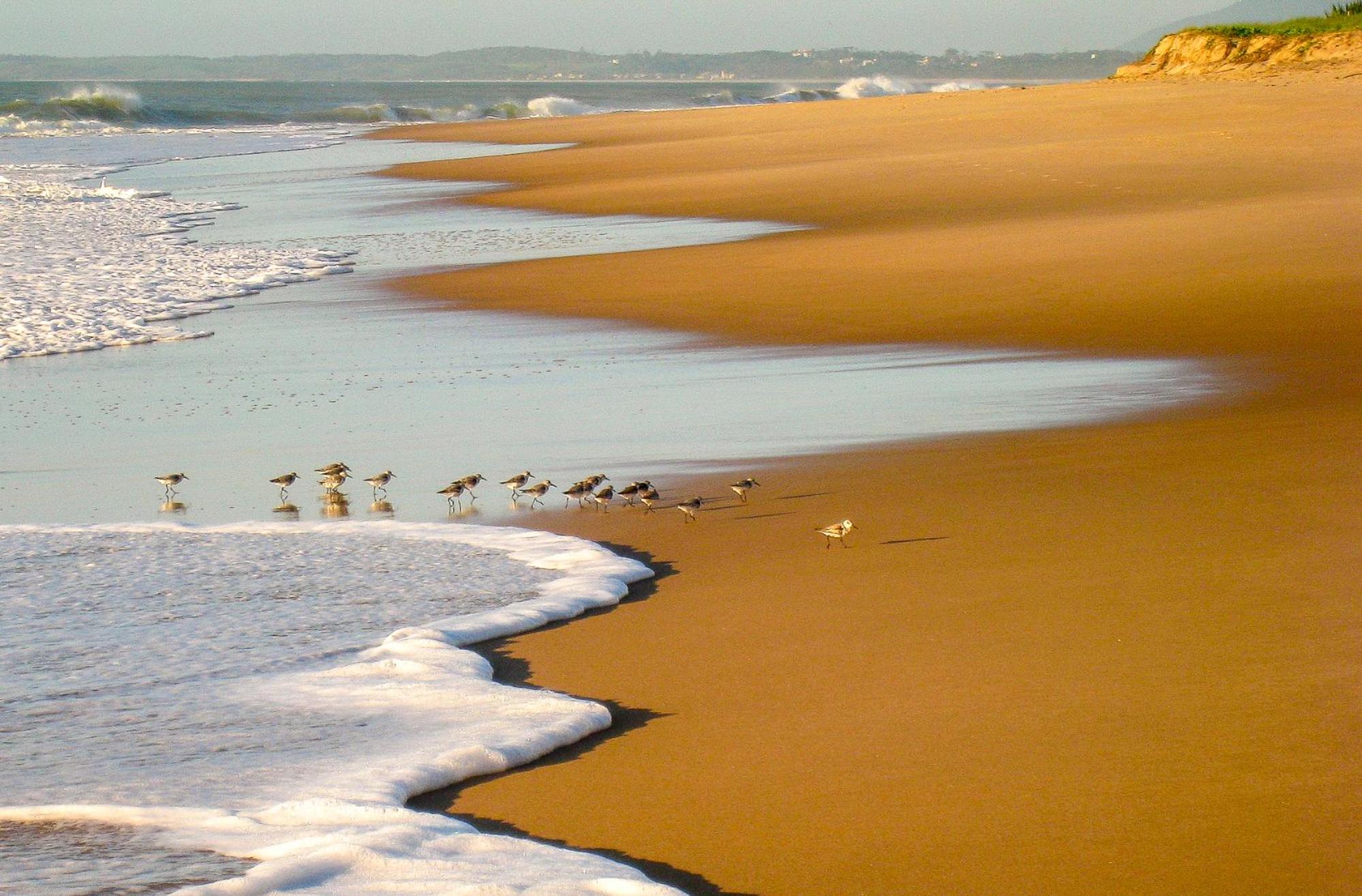 Book cheap flights to Rio de Janeiro State