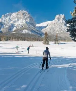 A beautiful view of Canmore