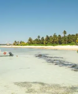 A beautiful view of Punta Cana – a popular city among our users