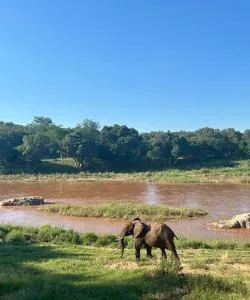 A beautiful view of Hoedspruit – a popular city among our users