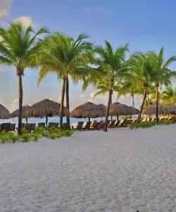 A beautiful view of Cozumel – a popular city among our users