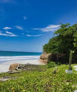 Krásny pohľad na mesto Punta Mita, ktoré je obľúbené medzi našimi používateľmi