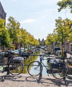 A beautiful view of Haarlem