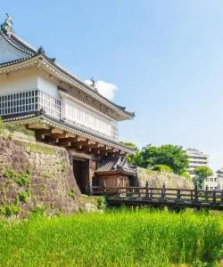 A beautiful view of Kagoshima – a popular city among our users