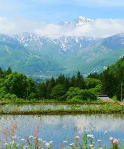 A beautiful view of Nagano – a popular city among our users