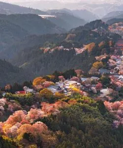 A beautiful view of Nara – a popular city among our users