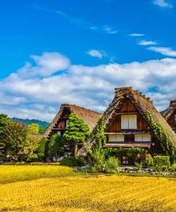 A beautiful view of Shirahama – a popular city among our users