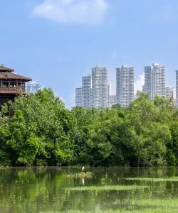 A beautiful view of Johor Bahru – a popular city among our users