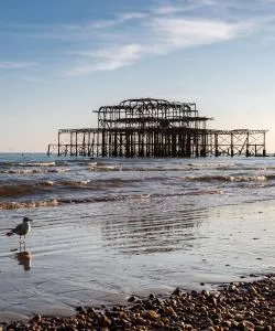 A beautiful view of Brighton & Hove