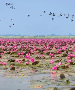 A beautiful view of Udon Thani serviced by Udon Thani Airport