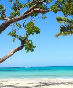 A beautiful view of Ocho Rios – a popular city among our users