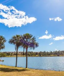 A beautiful view of Uberlândia – a popular city among our users