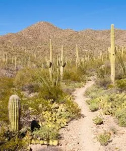 A beautiful view of Tucson – a popular city among our users