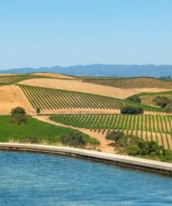 A beautiful view of Napa – a popular city among our users