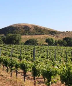 A beautiful view of Paso Robles