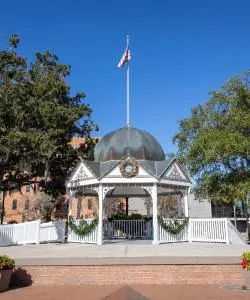 A beautiful view of Ocala