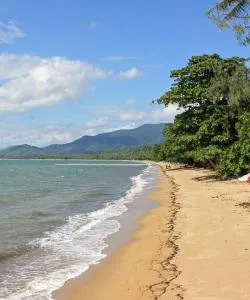 A beautiful view of Palm Cove – a popular city among our users