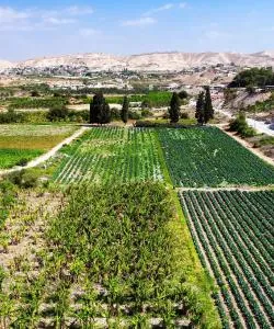 A beautiful view of Jericho – a popular city among our users