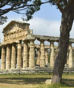 A beautiful view of Paestum – a popular city among our users