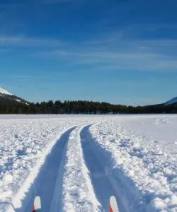 A beautiful view of Kolari.