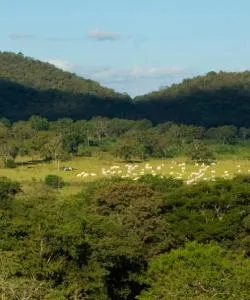 A beautiful view of Dourados.