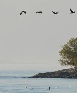 A beautiful view of Monroe serviced by Monroe Regional Airport.