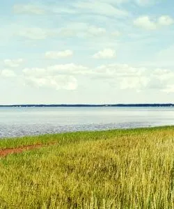 A beautiful view of Tracadie