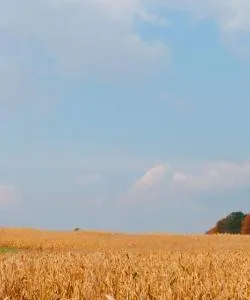 A beautiful view of Orangeville.