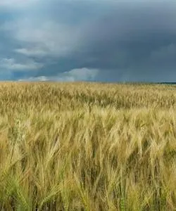 A beautiful view of Roberval – a popular city among our users