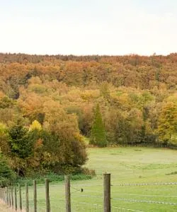 A beautiful view of Ash