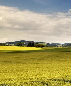 A beautiful view of Leonding – a popular city among our users
