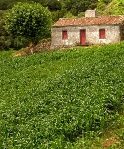 Uma bela vista de Seia – uma cidade popular entre os nossos utilizadores