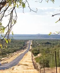 A beautiful view of Musina.