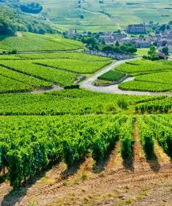 A beautiful view of Chaintré