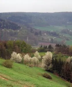 A beautiful view of Königsbronn
