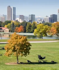 A beautiful view of Wheat Ridge