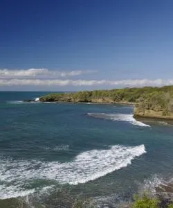 Ein schöner Blick auf La Cruz de Huanacaxtle – eine bei unseren Nutzern beliebte Stadt