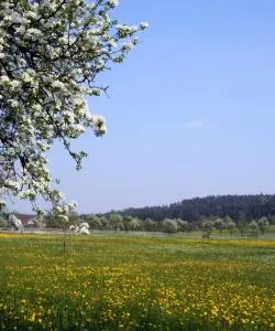 Una bonita panorámica de Böblingen